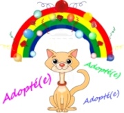 [résolu]HAVANE chaton mâle typé siamois 5,5 mois - Dep 17 - adopté 3979741004